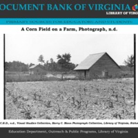 A corn field on a farm.pdf