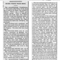1902Constitution_RichmondPlanet_1902-07-05.jpg